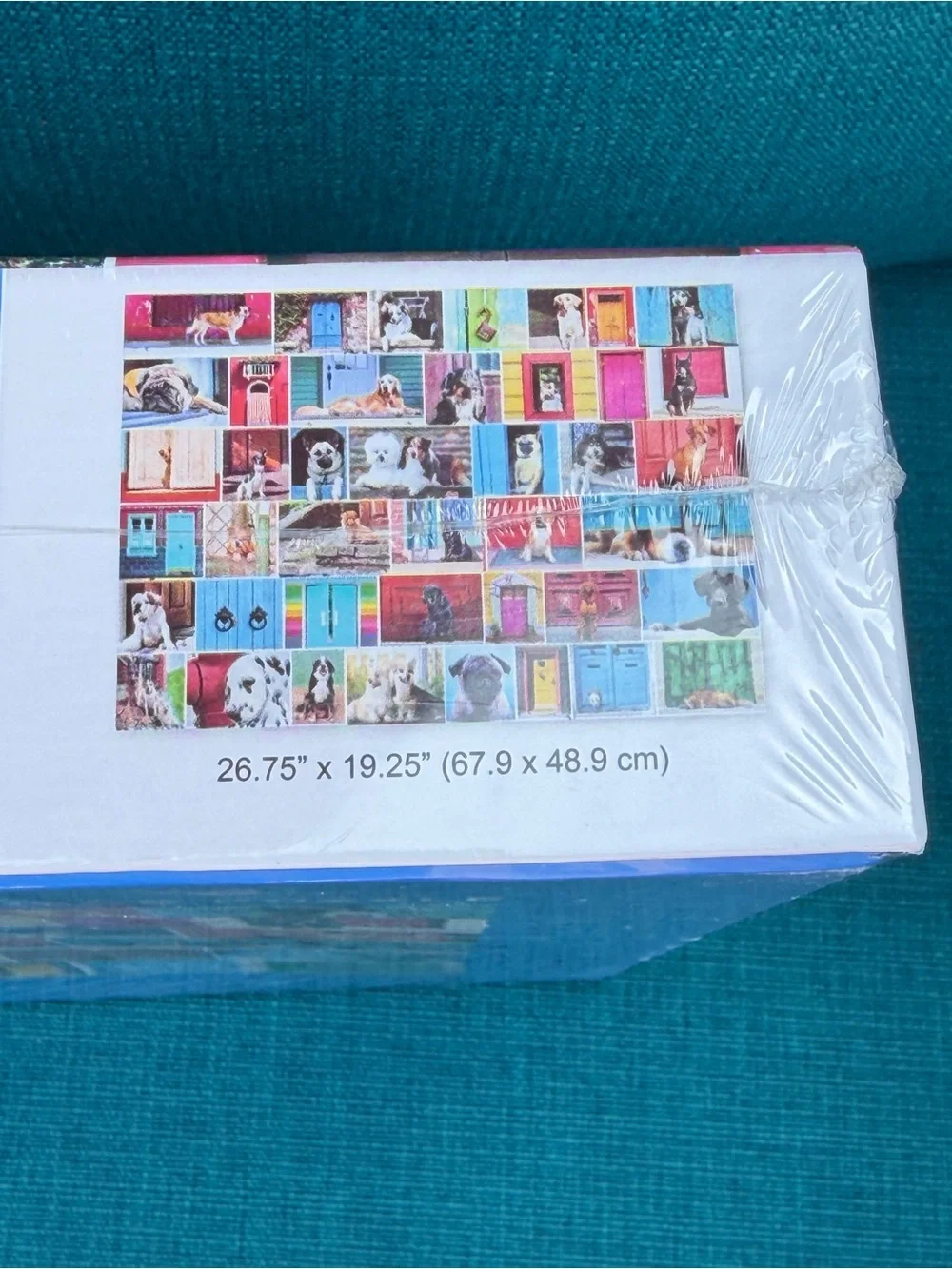 Welcome Home 1000-Piece Jigsaw Puzzle - Colorful Doors & Dogs